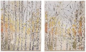 white birch, birch trees, birch tree painting, 