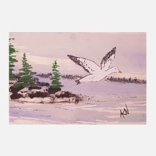 Snow Goose – Birds in Flight – Watercolor