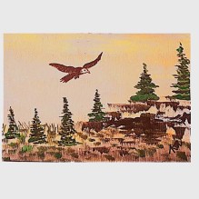 Bald Eagle in Flight – Watercolor